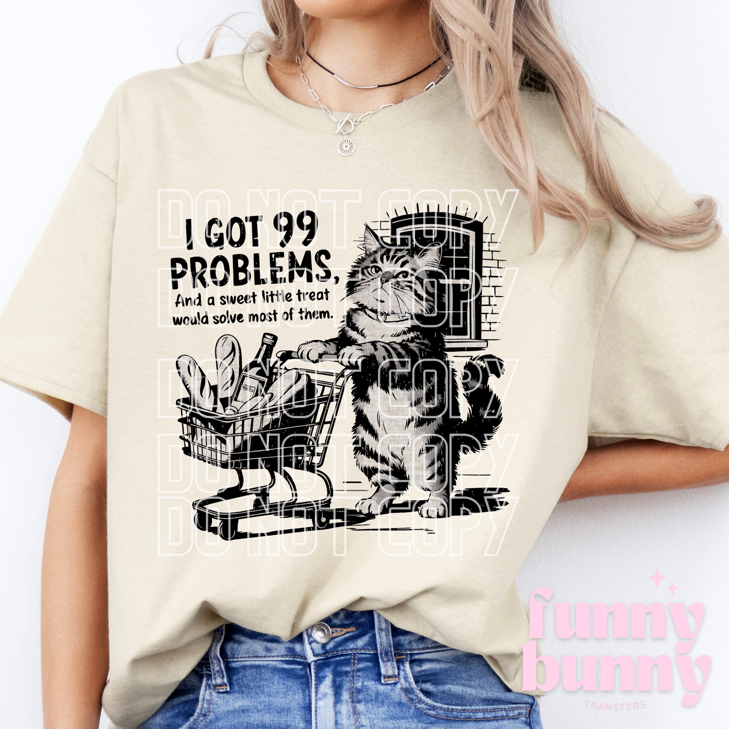 Got 99 Problems Kitty - DTF Transfer