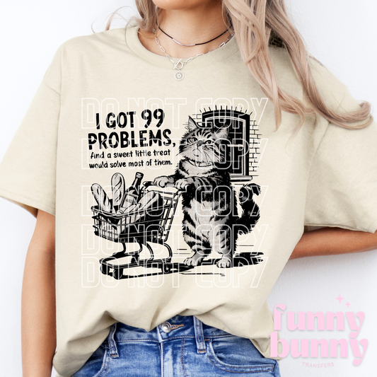 Got 99 Problems Kitty - DTF Transfer