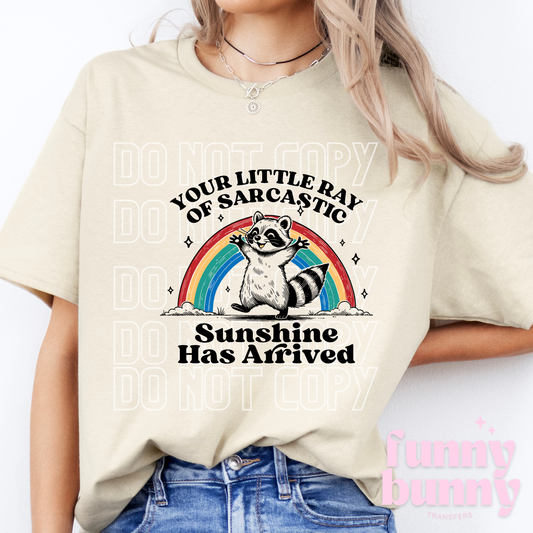 Sunshine Has Arrived - DTF Transfer